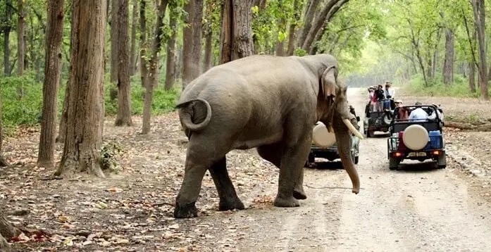 Nainital - Jim Corbett - Mussoorie